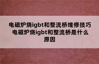 电磁炉烧igbt和整流桥维修技巧 电磁炉烧igbt和整流桥是什么原因